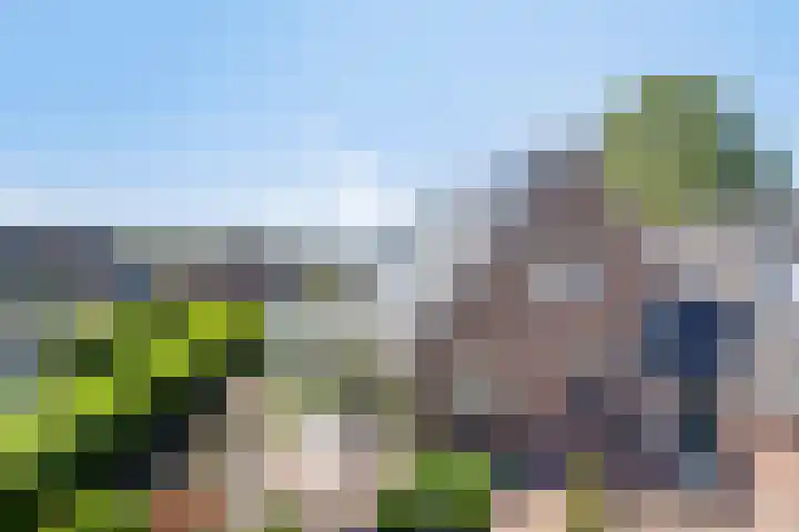 Beukenhof 18 Uithuizermeeden thumbnail 50