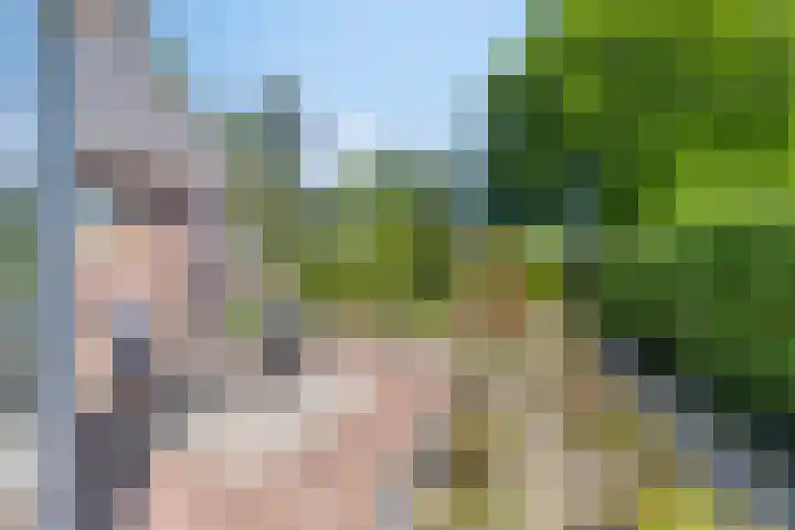Beukenhof 18 Uithuizermeeden thumbnail 51