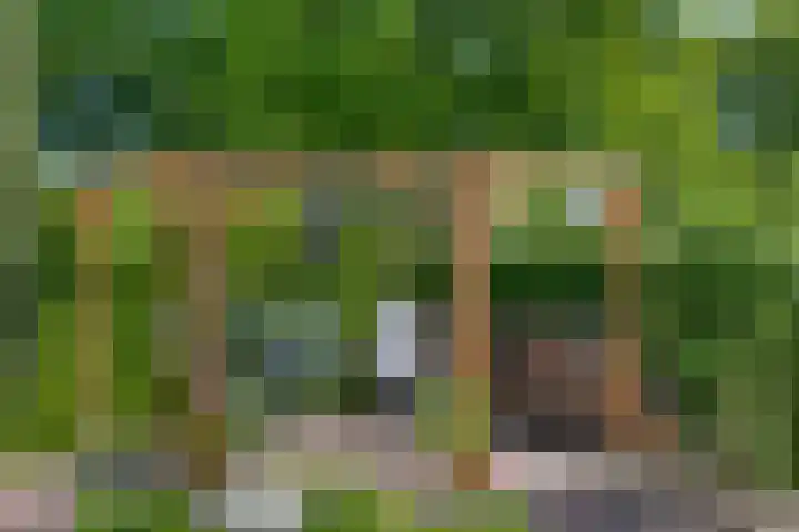 Beukenhof 18 Uithuizermeeden thumbnail 52