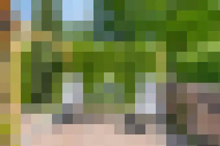 Beukenhof 18 Uithuizermeeden thumbnail 53