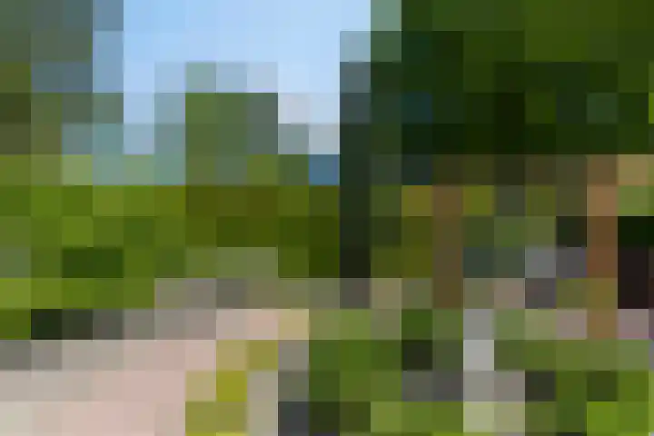 Beukenhof 18 Uithuizermeeden thumbnail 54