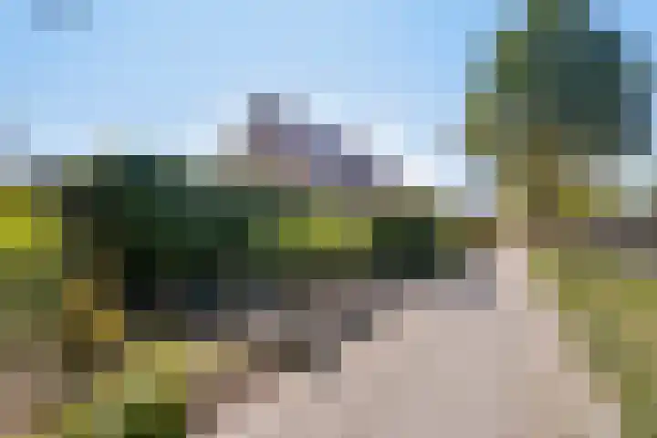 Beukenhof 18 Uithuizermeeden thumbnail 55