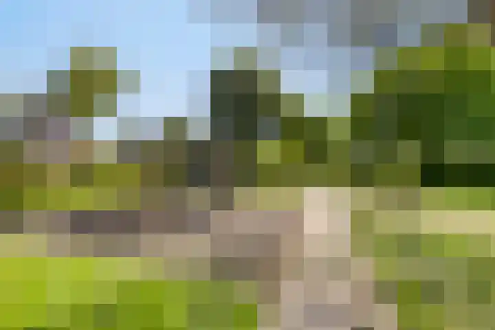 Beukenhof 18 Uithuizermeeden thumbnail 56