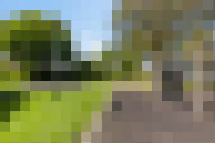 Beukenhof 18 Uithuizermeeden thumbnail 57