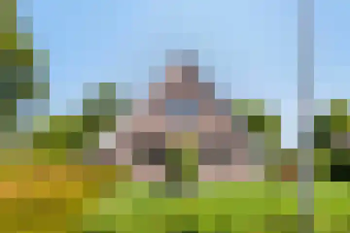 Beukenhof 18 Uithuizermeeden thumbnail 6