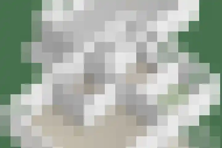 Beukenhof 18 Uithuizermeeden thumbnail 62