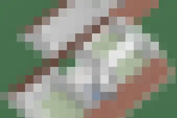 Beukenhof 18 Uithuizermeeden thumbnail 63