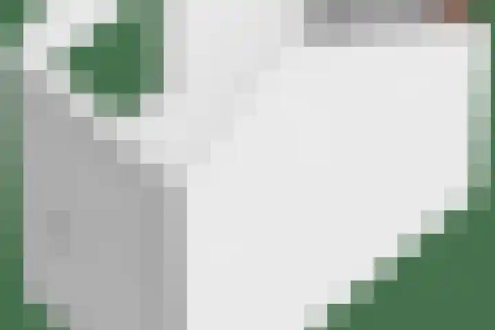 Beukenhof 18 Uithuizermeeden thumbnail 64