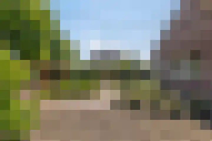 Beukenhof 18 Uithuizermeeden thumbnail 7