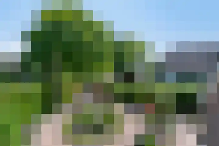 Beukenhof 18 Uithuizermeeden thumbnail 8
