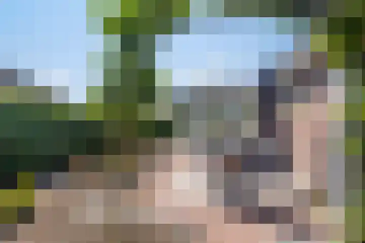 Beukenhof 18 Uithuizermeeden thumbnail 9