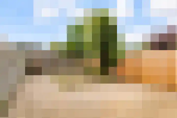 Beukenhof 189 Lelystad thumbnail 31
