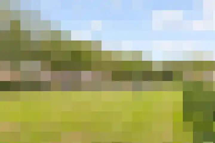 Beukenhof 189 Lelystad thumbnail 35