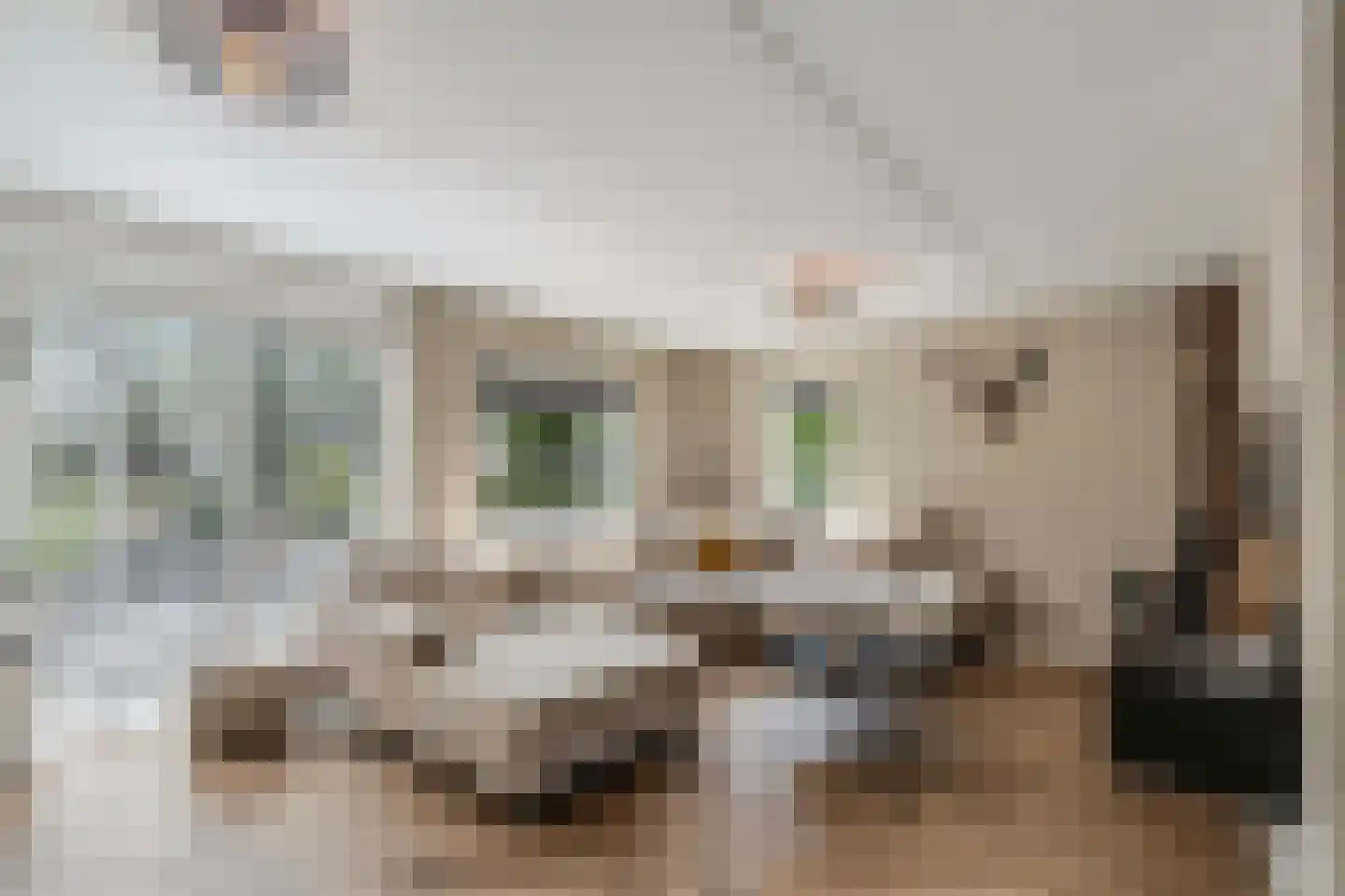 Beukenhof 2 Lelystad thumbnail 12