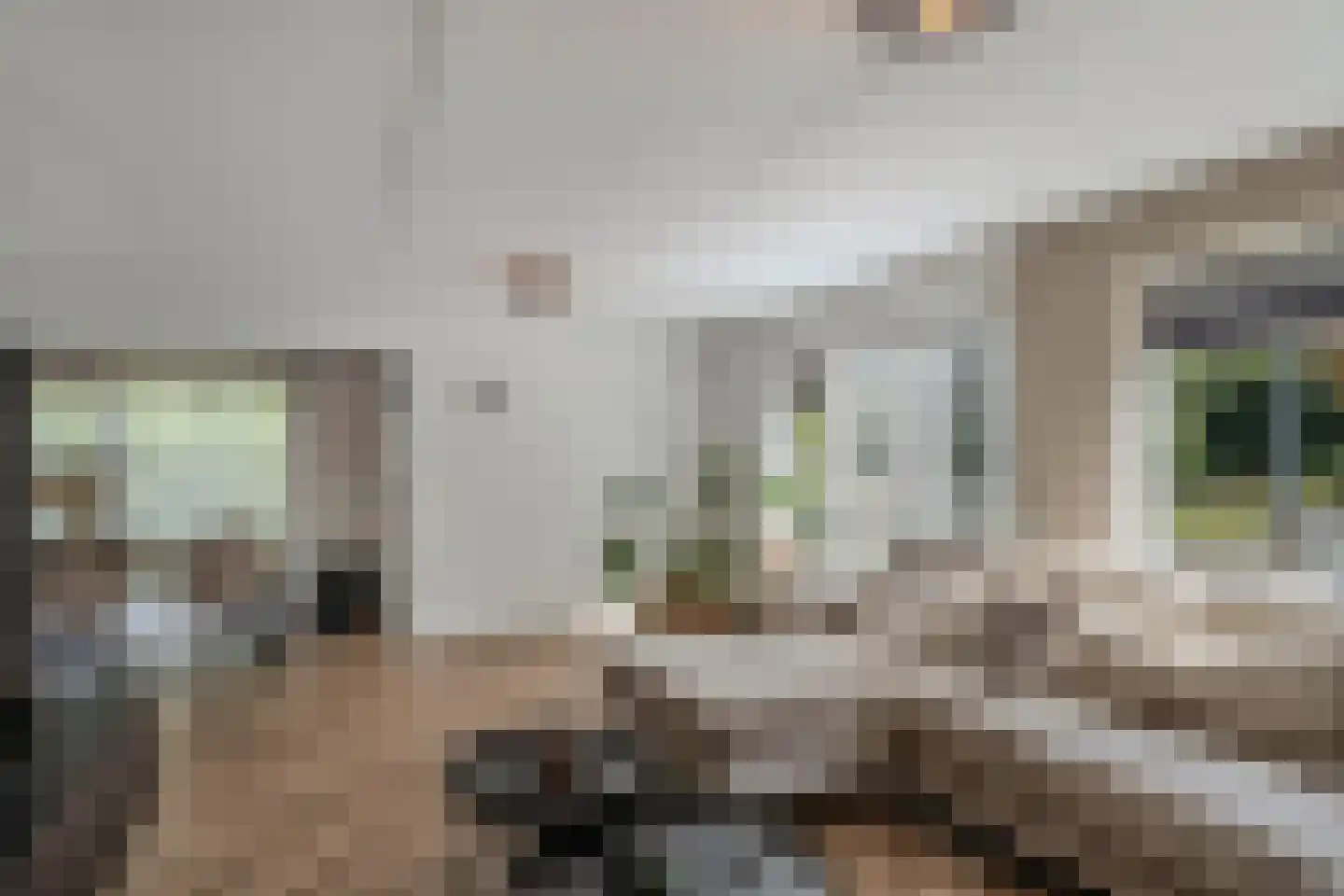 Beukenhof 2 Lelystad thumbnail 14