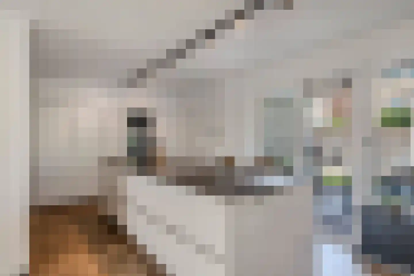 Beukenhof 2 Lelystad thumbnail 18