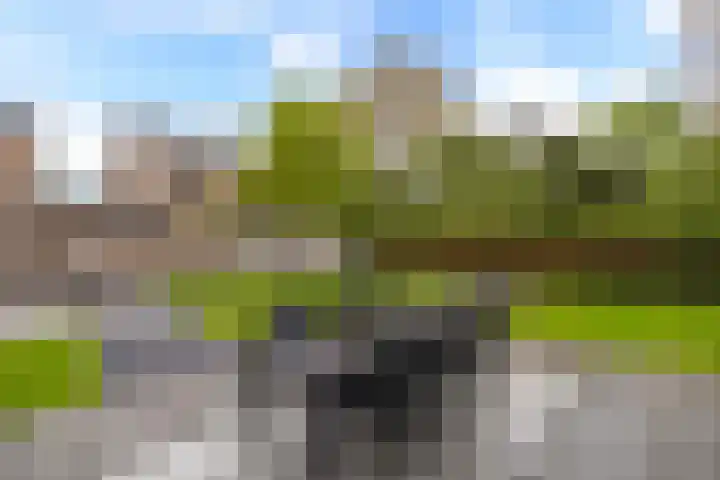Beukenhof 2 Lelystad thumbnail 26