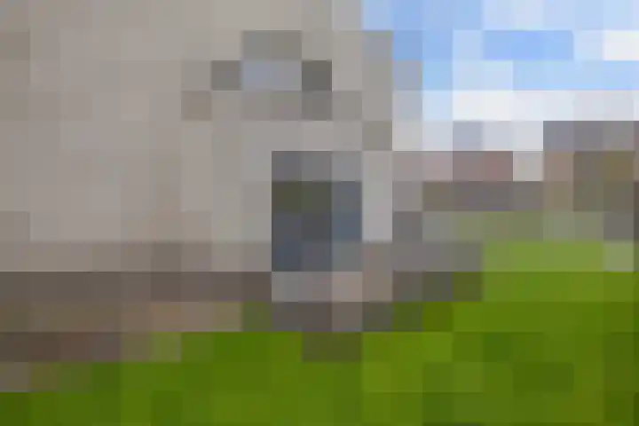 Beukenhof 2 Lelystad thumbnail 28