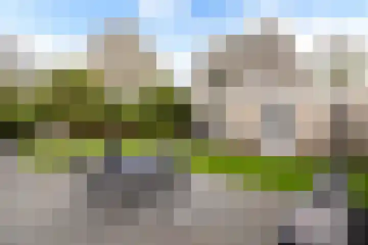 Beukenhof 2 Lelystad thumbnail 31