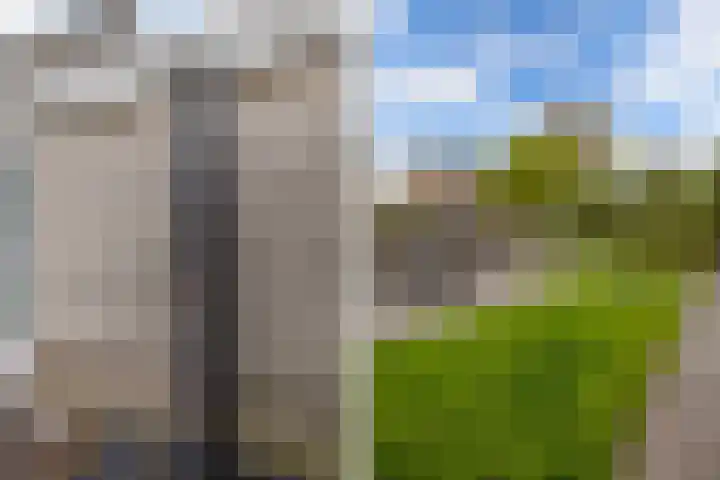 Beukenhof 2 Lelystad thumbnail 32