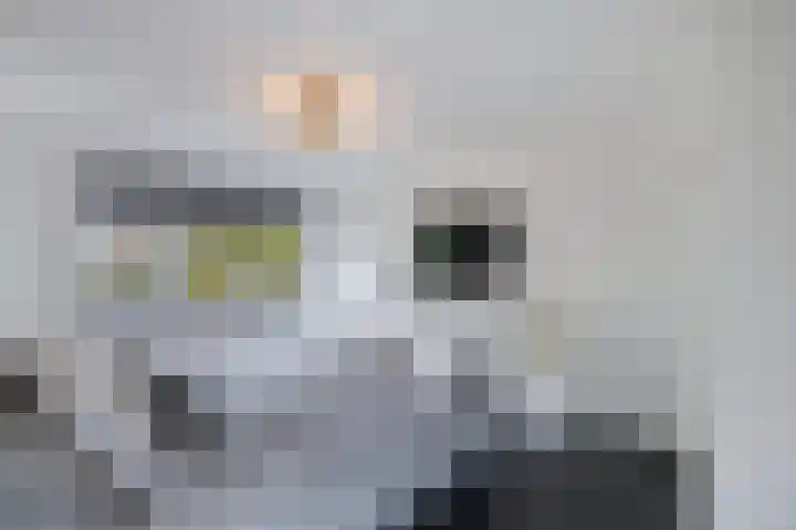 Beukenhof 2 Lelystad thumbnail 35
