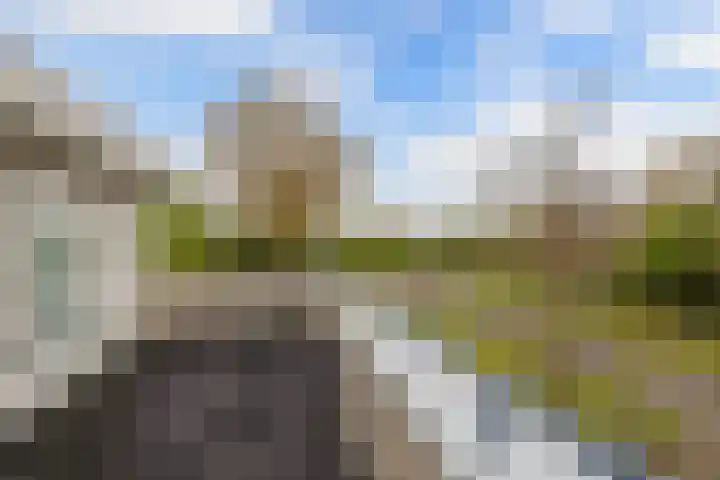 Beukenhof 2 Lelystad thumbnail 52