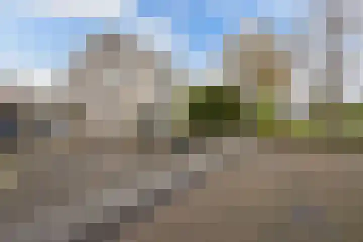 Beukenhof 2 Lelystad thumbnail 53