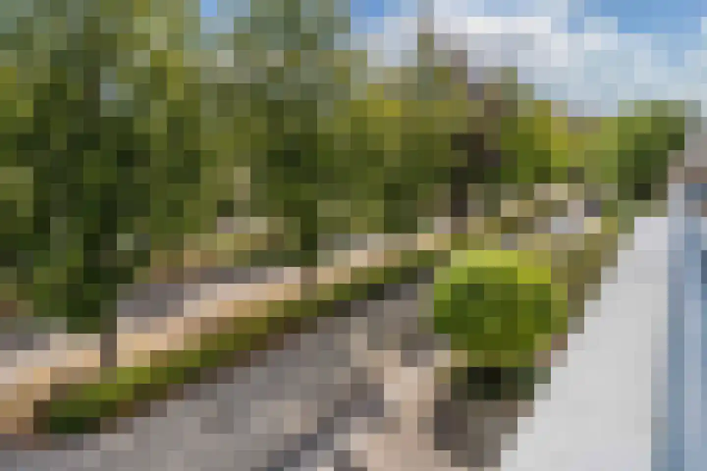 Beukenhof 2 Lelystad thumbnail 57
