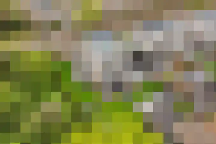 Beukenhof 2 Lelystad thumbnail 59