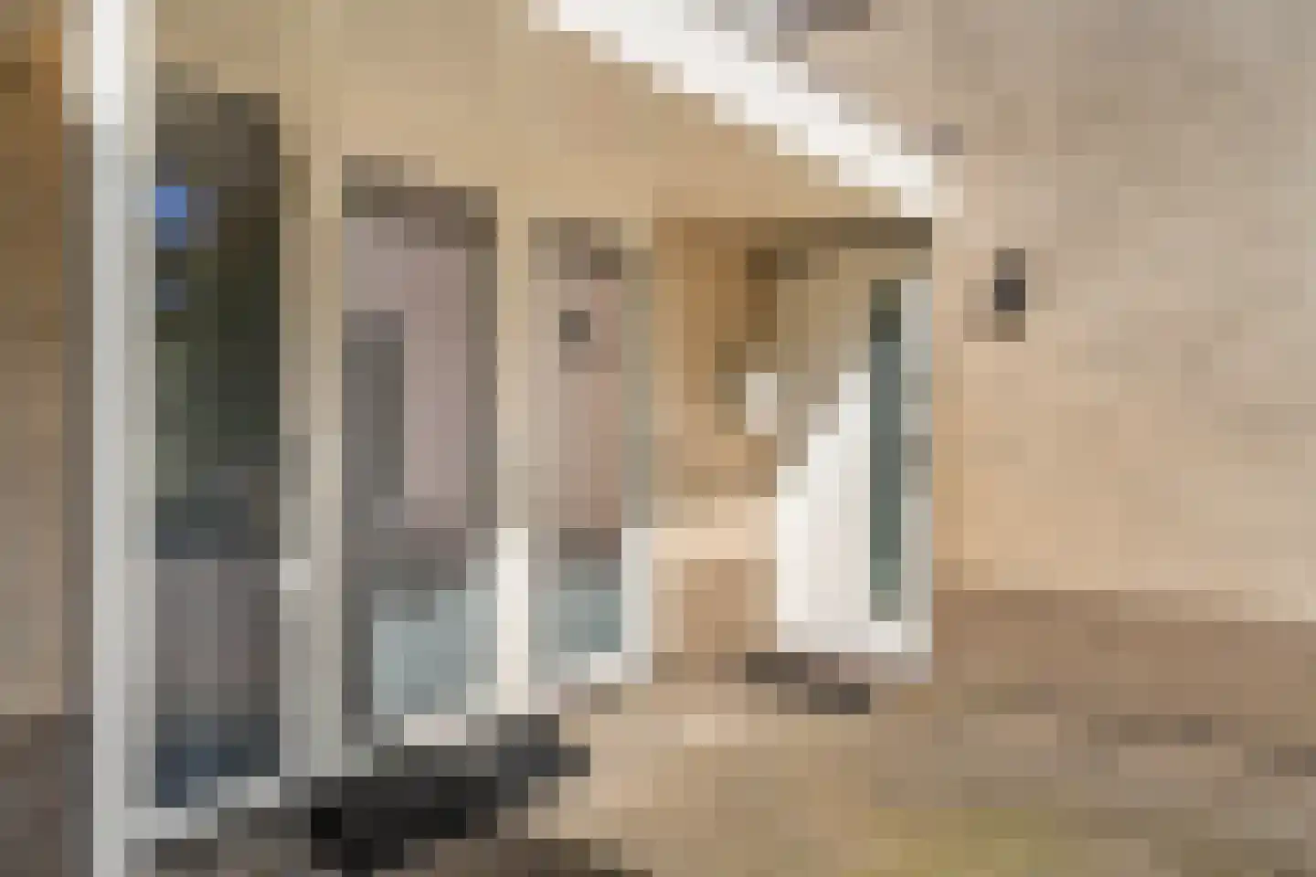 Beukenhof 2 Lelystad thumbnail 6