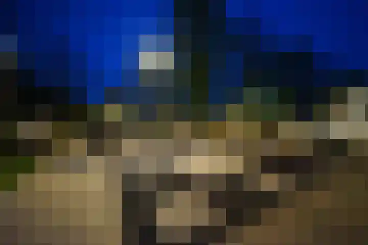 Beukenhof 2 Lelystad thumbnail 64