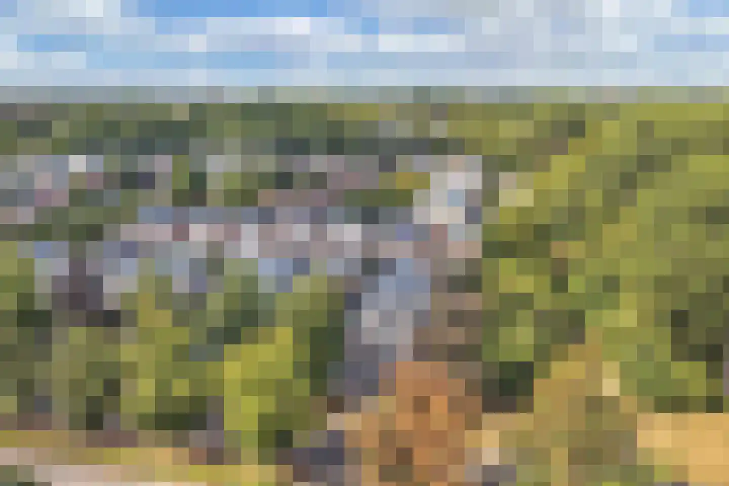 Beukenhof 2 Lelystad thumbnail 65
