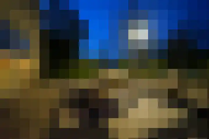 Beukenhof 2 Lelystad thumbnail 65