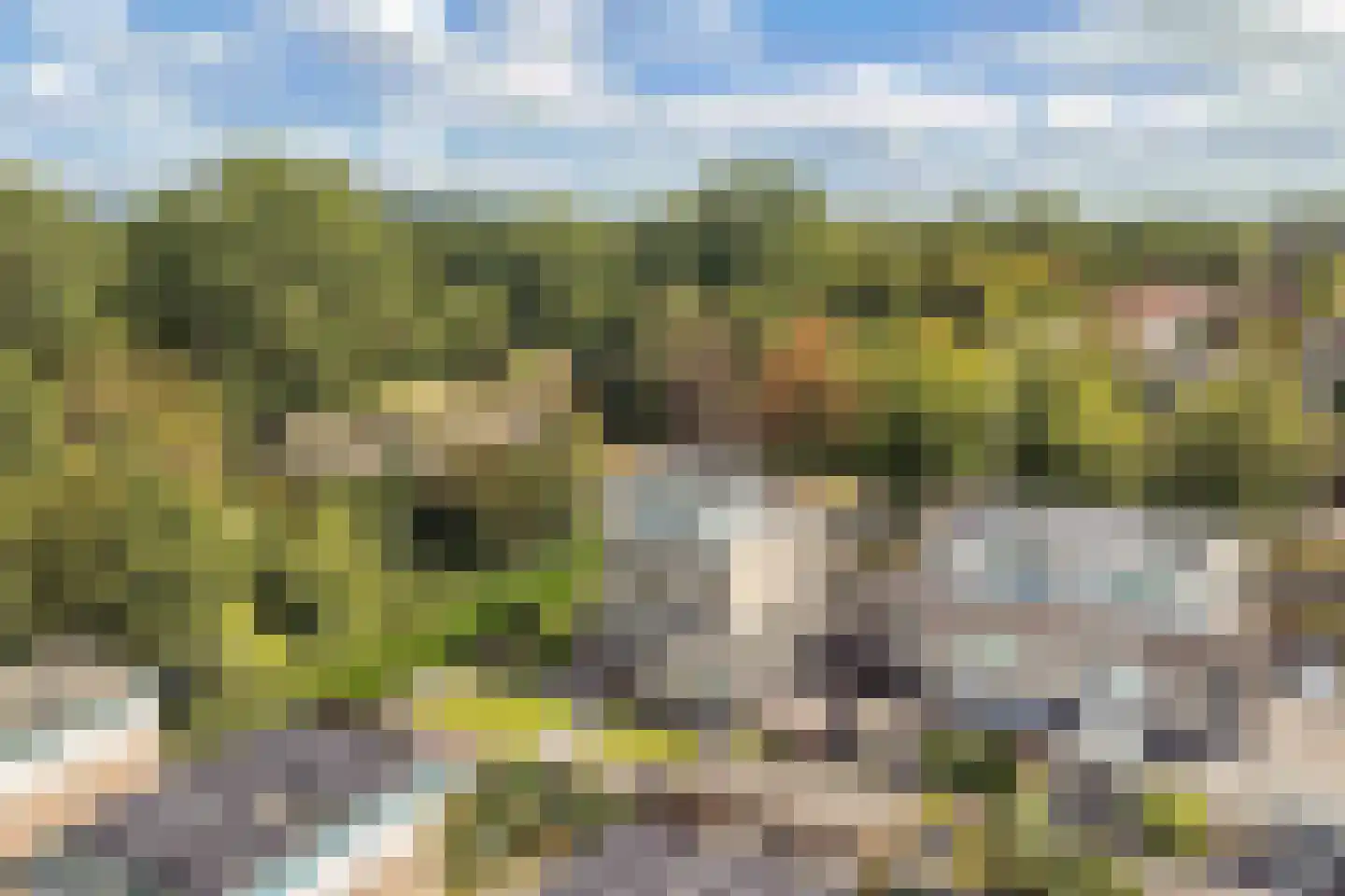 Beukenhof 2 Lelystad thumbnail 66