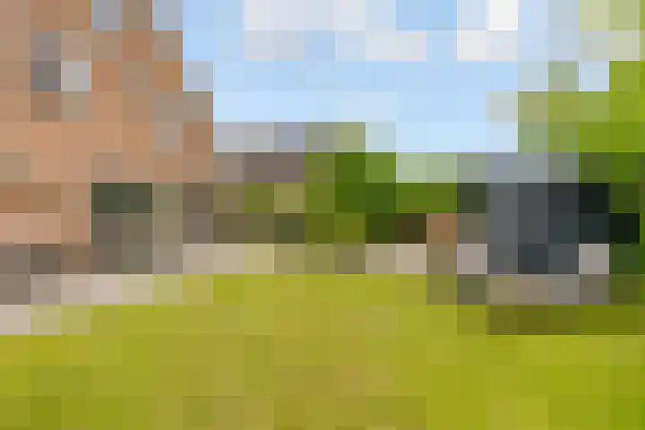 Beukenhof 217 Lelystad thumbnail 45