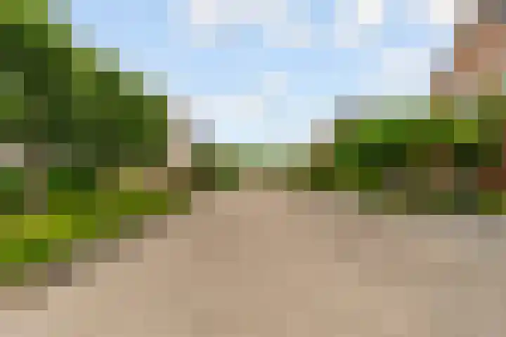 Beukenhof 217 Lelystad thumbnail 57