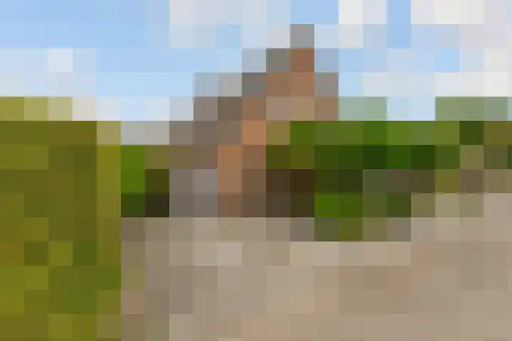 Beukenhof 217 Lelystad thumbnail 58