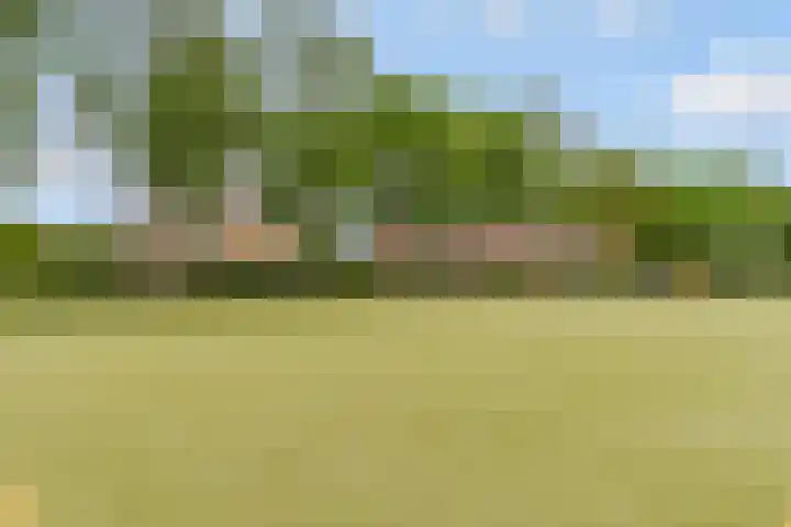 Beukenhof 217 Lelystad thumbnail 59