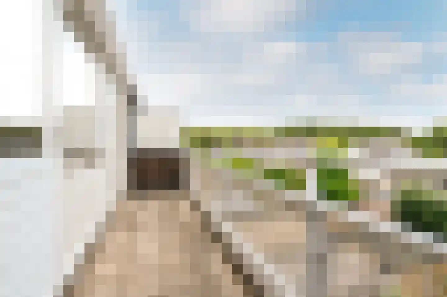 Beukenhof 232 Lelystad thumbnail 31