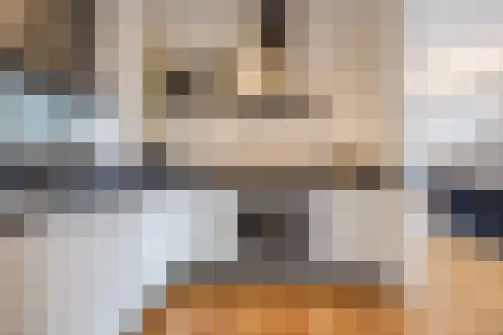 Beukenhof 26 Made thumbnail 31