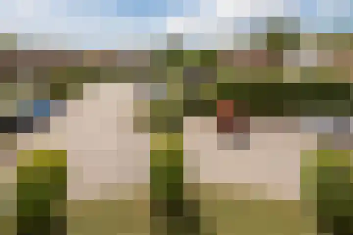 Beukenhof 26 Made thumbnail 46