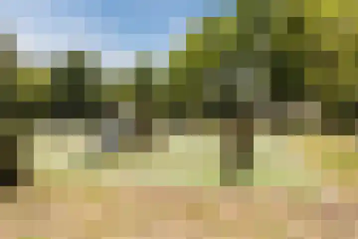 Beukenhof 26 Made thumbnail 52