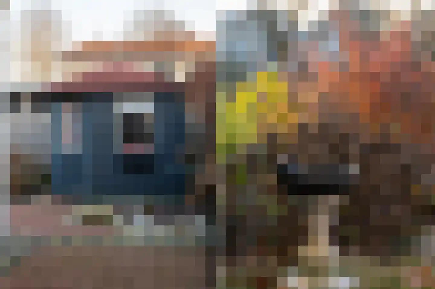 Beukenhof 29 Lelystad thumbnail 63