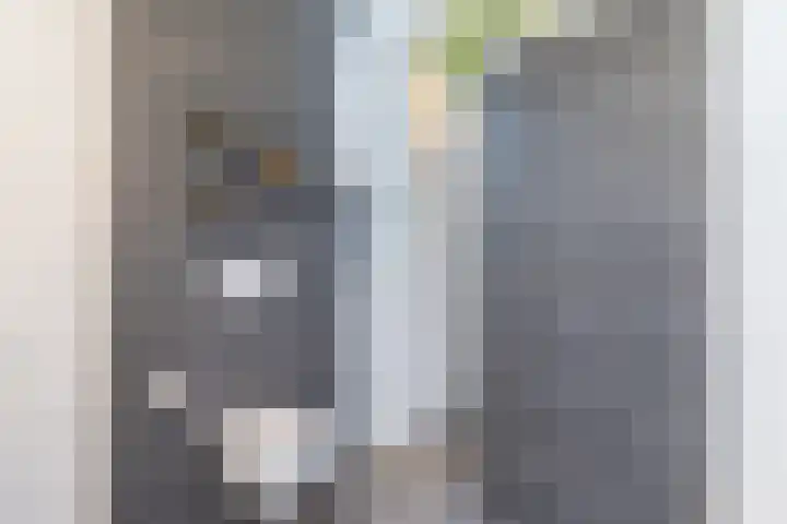 Beukenhof 3 Nuth thumbnail 24