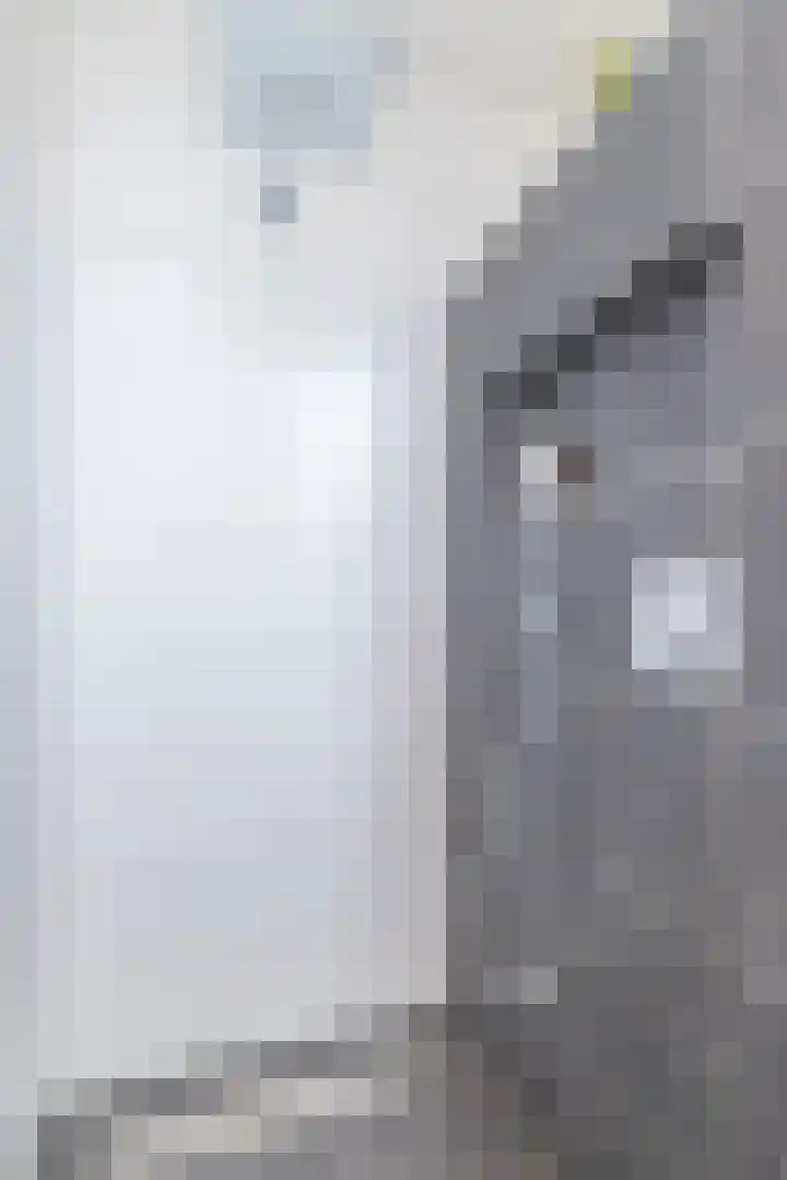 Beukenhof 3 Nuth thumbnail 25