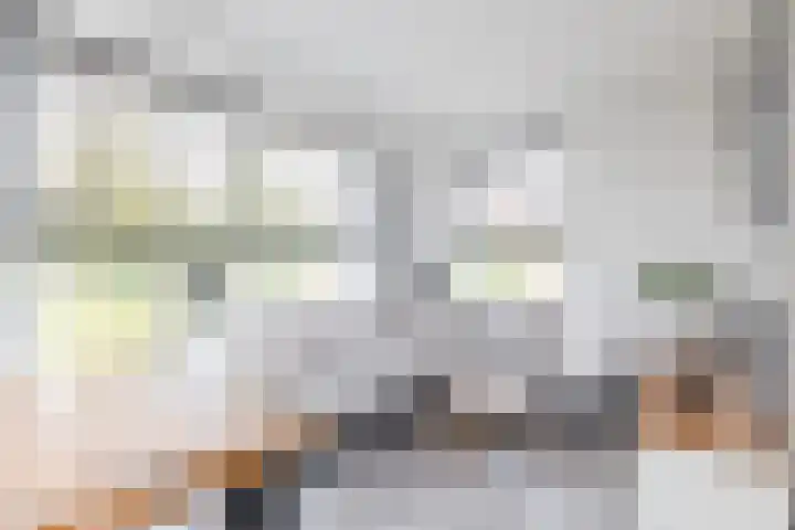 Beukenhof 3 Nuth thumbnail 8