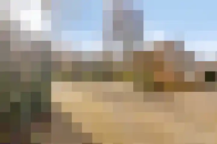 Beukenhof 3 Sint Maarten thumbnail 5
