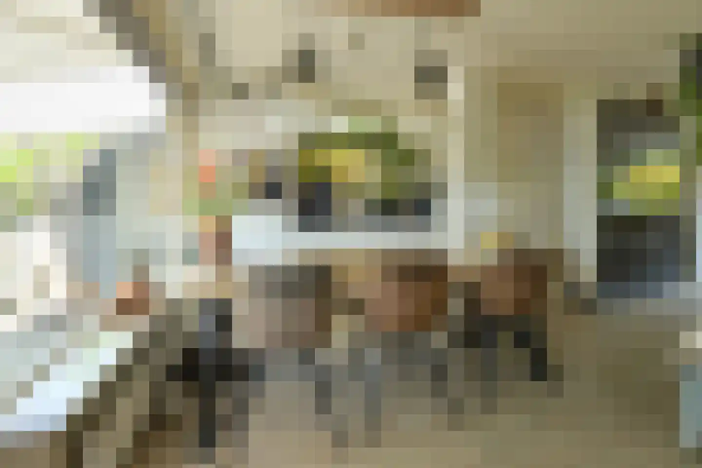 Beukenhof 39 Prinsenbeek thumbnail 15