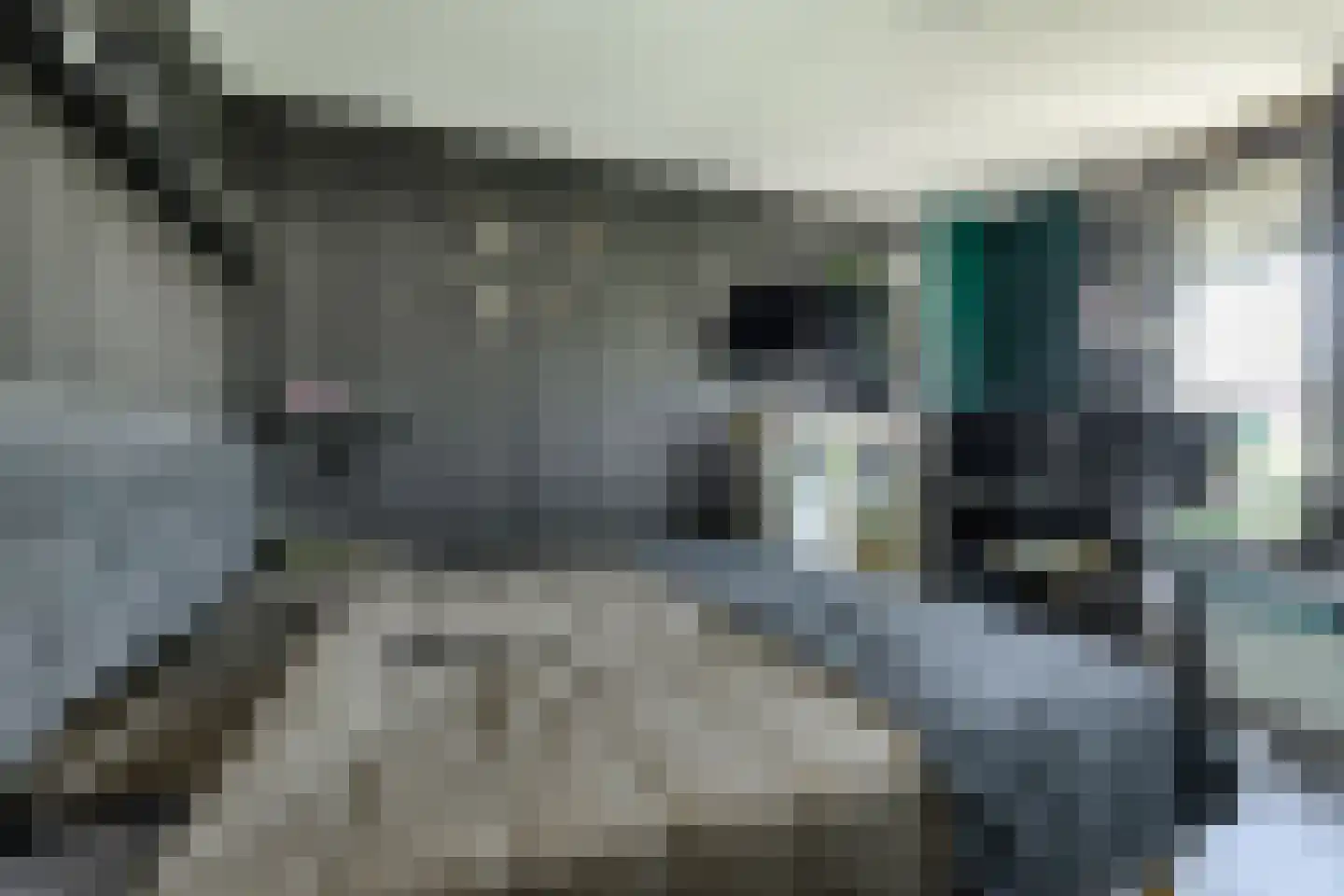 Beukenhof 39 Prinsenbeek thumbnail 20