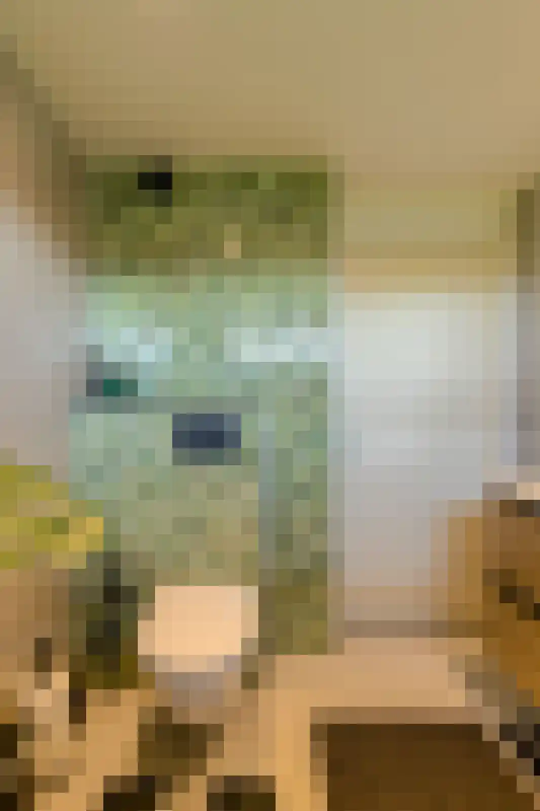 Beukenhof 39 Prinsenbeek thumbnail 23